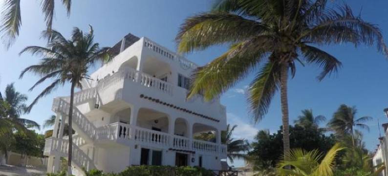 加勒比Casablanca(Caribbean Casa Blanca)图片