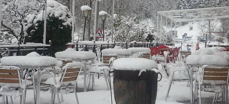 布龙赛斯餐厅旅馆(Hostal Restaurante Los Bronces)图片