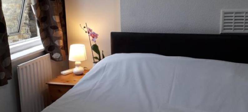 东滕特街20号住宿(20 East Tenter Street)图片