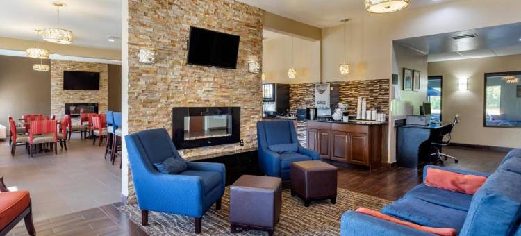 北奥罗拉-内珀维尔舒适套房酒店(Comfort Inn & Suites North Aurora - Naperville)图片