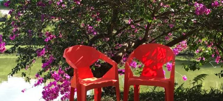 科洛雷阿雷纳尔酒店(Hotel Colores del Arenal)图片