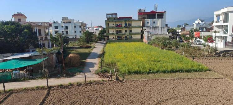 古鲁苏尔比酒店(Hotel Guru Surbhi)图片