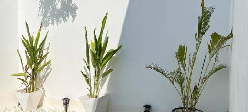 巴安铁钩船长酒店(Baancaptainhook Pool Kohlarn)图片