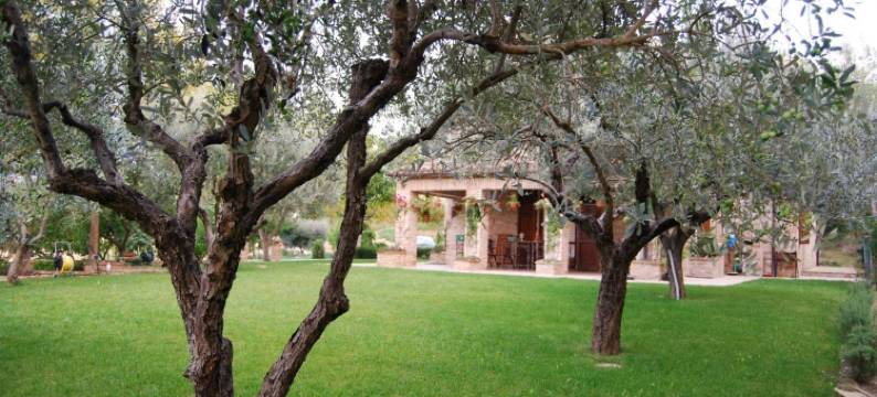 燕居住宿加早餐旅馆(Bed and Breakfast la Casa Delle Rondini)图片