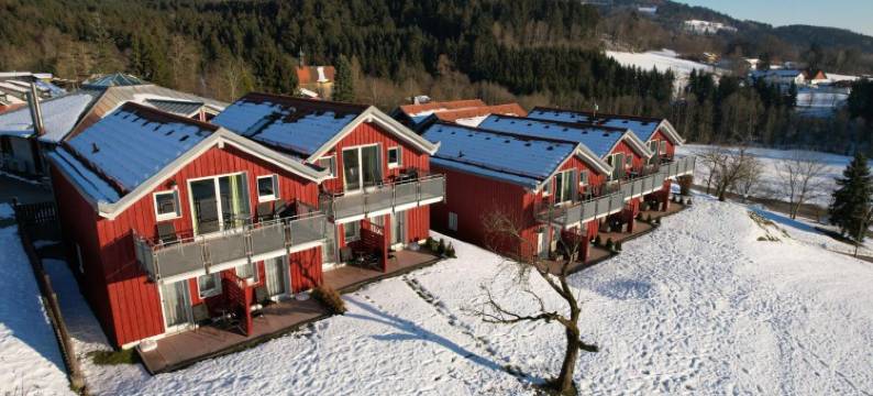 巴亚绪瓦尔德酒店(Hotel Bayerischer Wald)图片