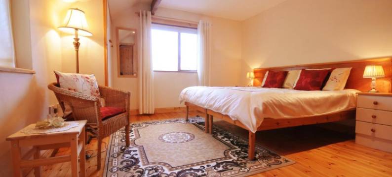 丹湖楼住宿加早餐旅馆(Lough Dan House)图片