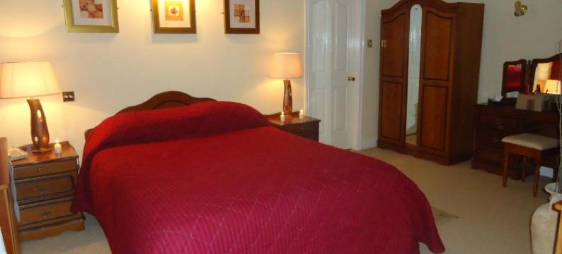 坦普尔莫尔阿姆斯酒店(Templemore Arms Hotel)图片