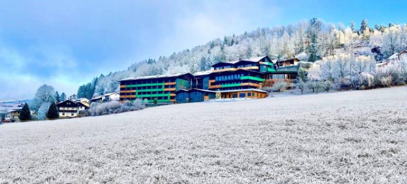 博登迈斯自然酒店(Natura Hotel Bodenmais - Inkl Soft- Und Heißgetränkeflat)图片