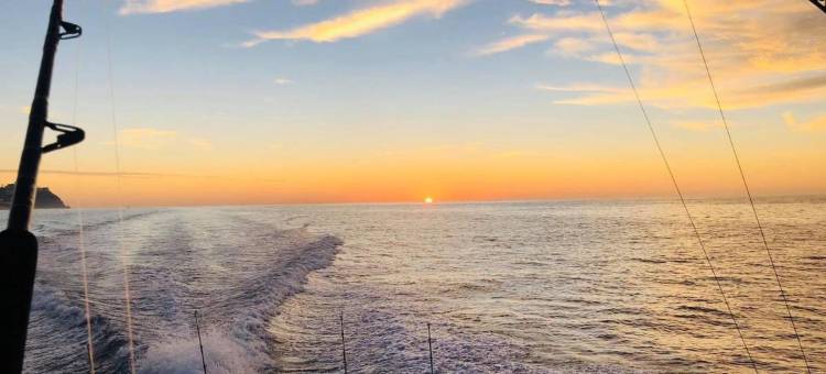 哈瓦那象岛游泳池别墅酒店(Koh Chang Havana Pool Villa)图片