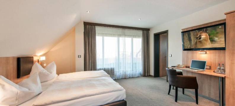 舒马赫加尼酒店(Garni Hotel Schumacher)图片