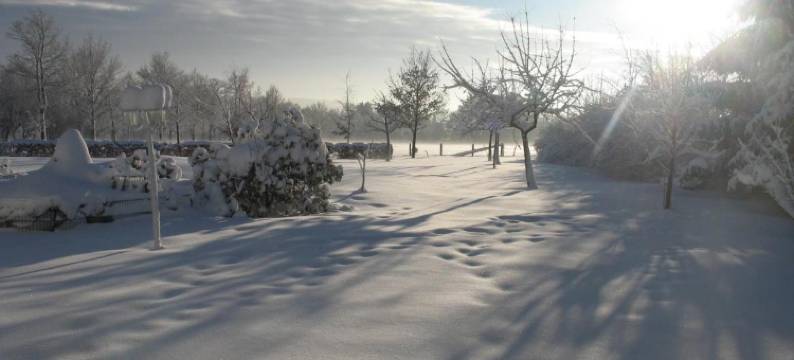 古特马里恩比尔德辰兰德酒店(Landgasthof Gut Marienbildchen)图片