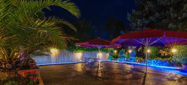 迪特梅耶阿克森酒店(Akzent Hotel Tietmeyer & Cross Side)图片