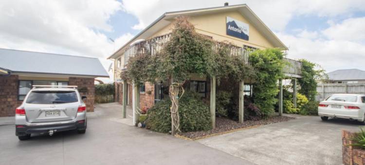 安东尼奥姆斯汽车旅馆(Antonio Mews Motel)图片