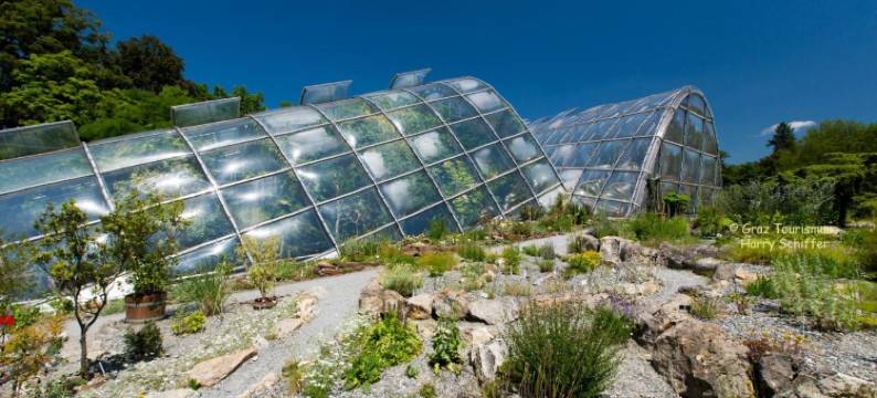 莱拉本酒店(Hotel Drei Raben)图片