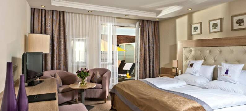 MAXIMILIAN 大酒店(Hotel Maximilian)图片