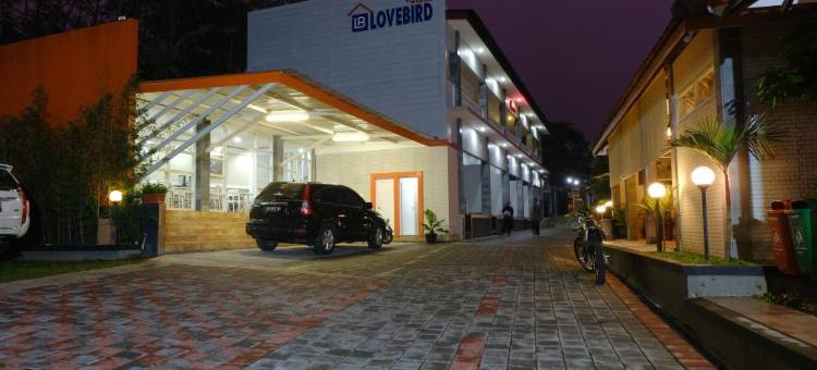 Wisma Lovebird图片