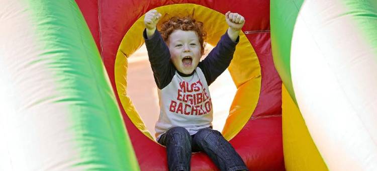 菲茨杰拉德伍德兰德酒店(Fitzgeralds Woodlands House Hotel)图片