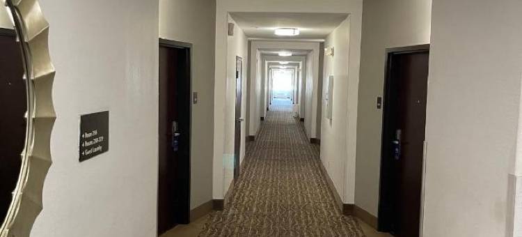 查尔斯湖舒适套房酒店(Comfort Suites Lake Charles)图片