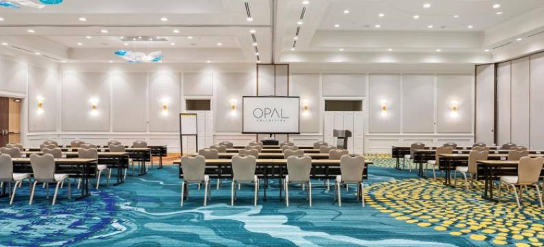 奥铂尔海滨水疗大度假村(Opal Grand Oceanfront Resort & Spa)图片