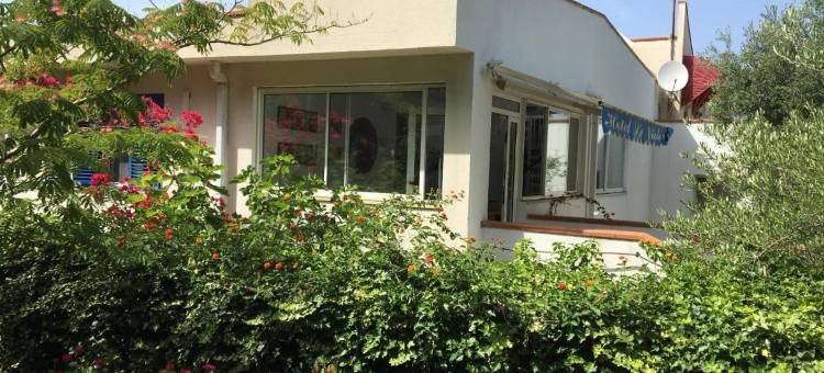 紫罗兰酒店(Hotel le Viole)图片