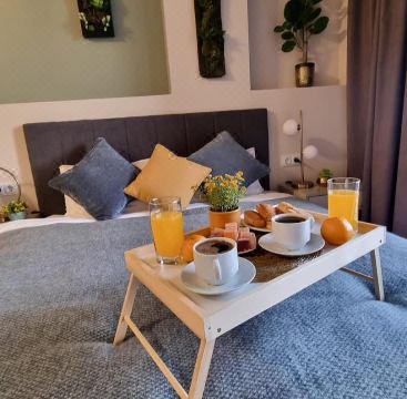 Nature View Designer Studio Hotel Overview