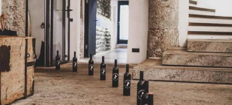 韦瑟斯罗斯酒店(Boutiquehotel Weisses Rössl)图片