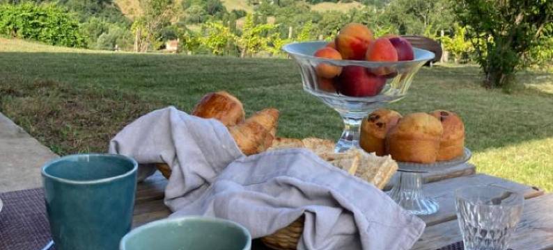 拉布鲁姆领地(Domaine Labouroume)图片