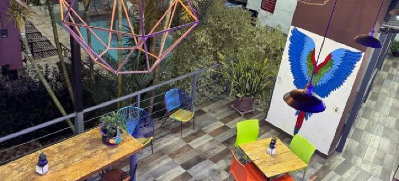 拉昆塔快捷酒店(Hotel D Marco Exxpres)图片