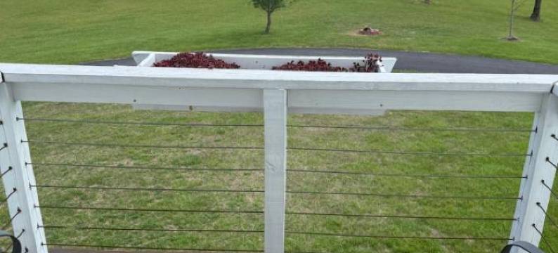 Barren Breeze Bed and Breakfast图片