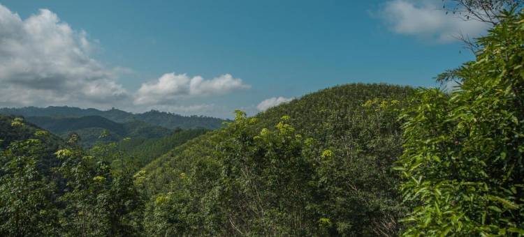 山景别墅(Mountain View House)图片