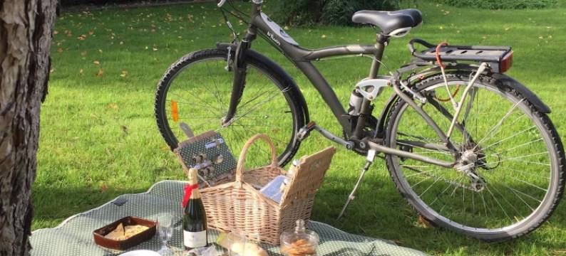 普雷米塞斯弗雷特住宿加早餐旅馆(Les Prémices de La Forêt)图片