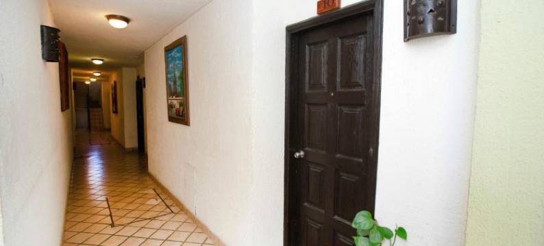 波萨达泰拉诺瓦酒店(Hotel Posada Terranova)图片