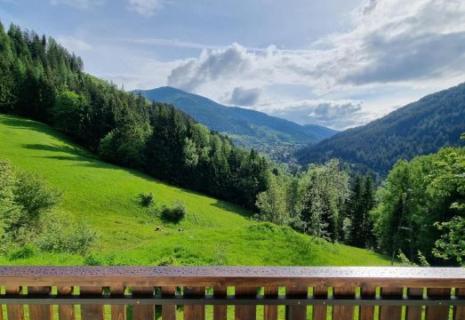 Ferienwohnungen Rabensteiner Hotel Overview