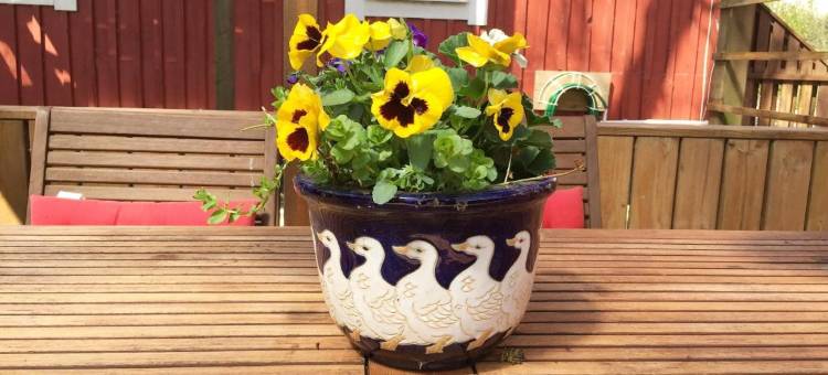 玛蒂斯加登住宿加早餐酒店(Mattisgården Bed & Breakfast)图片