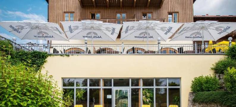 奥特沃特兰德加斯特霍夫酒店(Hotel Und Landgasthof Altwirt)图片