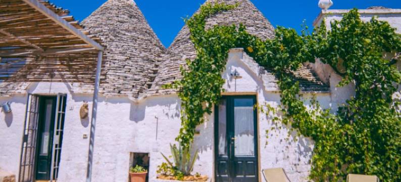 马瑟里亚罗莎特鲁利里雷酒店(Masseria Rosa Trulli Relais)图片