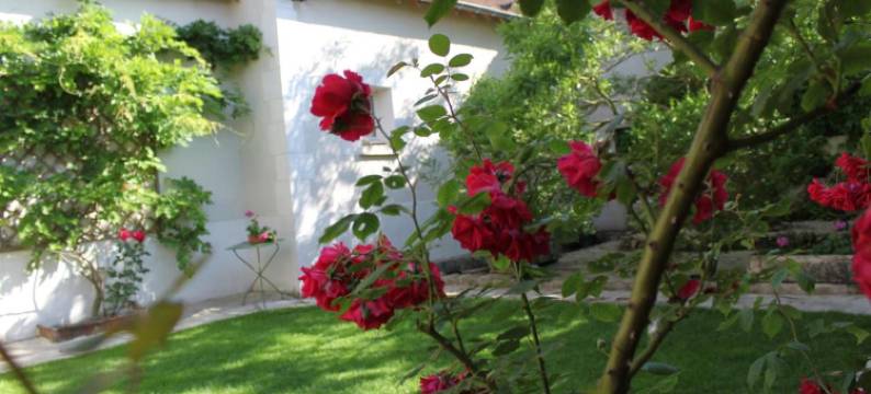 弗齐纳圣尼古拉斯旅馆(Chambres et Table d'hôtes Saint Nicolas, Maisonnettes Individuelles Dans propriété privée)图片