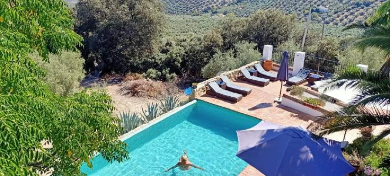 科尔蒂霍拉哈扎住宿加早餐旅馆(Cortijo la Haza)图片