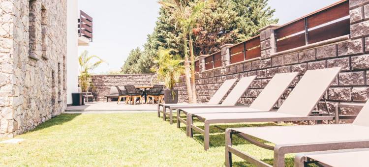 异域风情(Eksōtika)图片