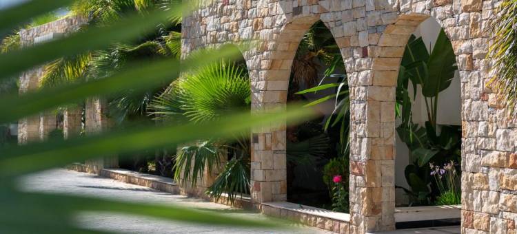 大西洋Mnar(Atlantic Mnar)图片