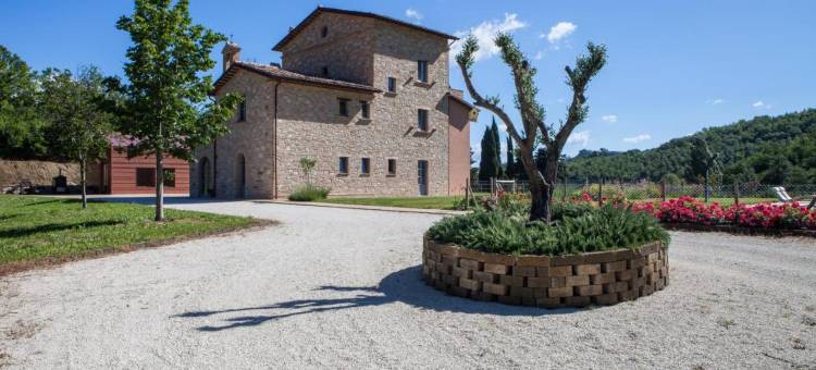 科尔泰卡希尼科勒农庄酒店(Agriturismo Colle Casini Cortesi)图片