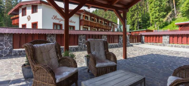 萨拜娜旅馆(Penzion Sabina)图片