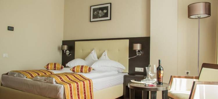 萨利斯医疗水疗酒店(Salis Hotel & Medical Spa)图片