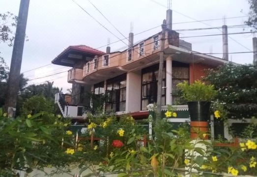 Basilico Homestay Hotel Overview