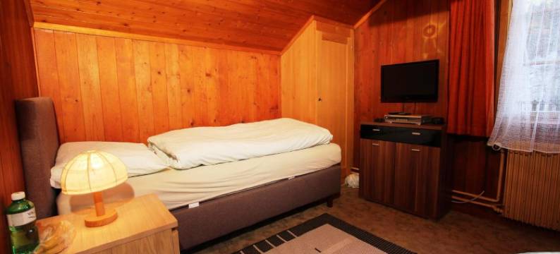 阿尔宾娜餐厅酒店(Hotel-Restaurant Alpina)图片