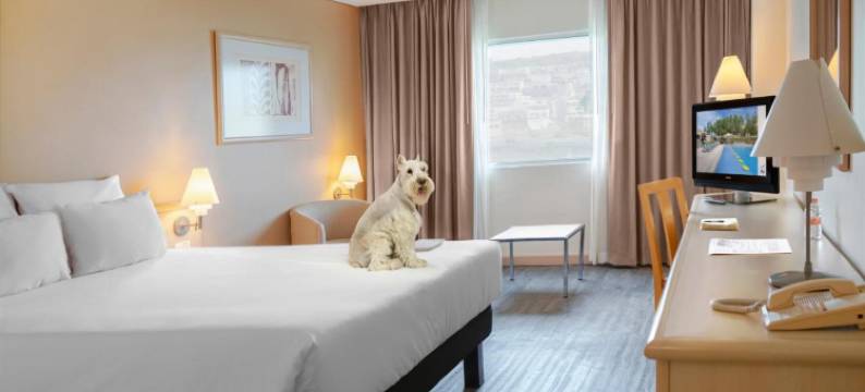 蒙特雷山谷诺富特酒店(Novotel Monterrey Valle)图片