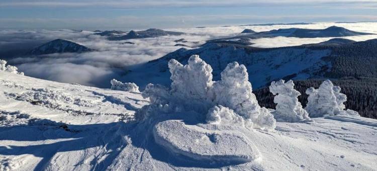 Loire-Gerbier-Mézenc图片