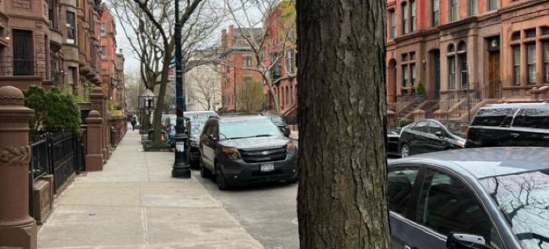 莫里斯山精神食粮酒店(Soul Food 'Mont Morris')图片