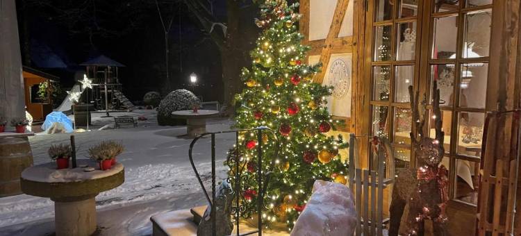 林格瑟穆尔餐厅酒店(Hotel Restaurant Rengser Mühle)图片