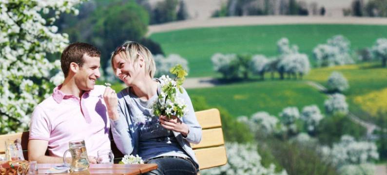 戈福瑞沃特兰德酒店(Landhotel Gafringwirt)图片